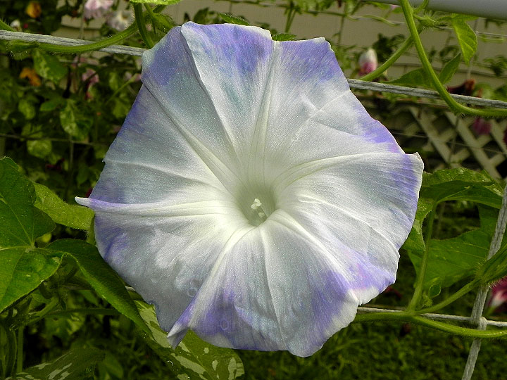 DSCN2962