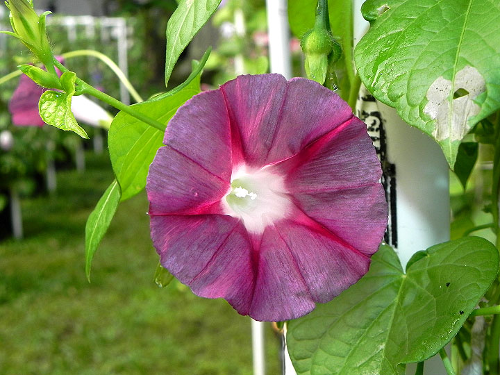 DSCN2974