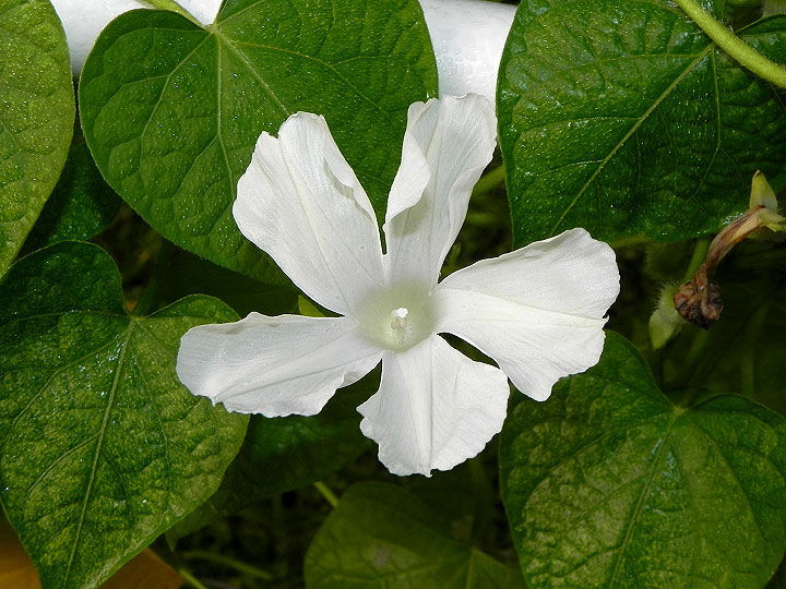 DSCN2986