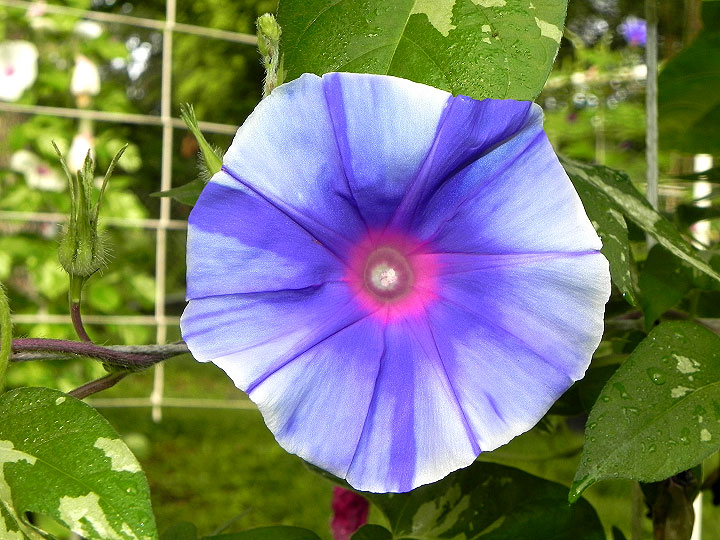 DSCN3010
