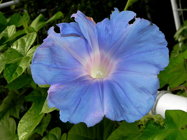 DSCN3014