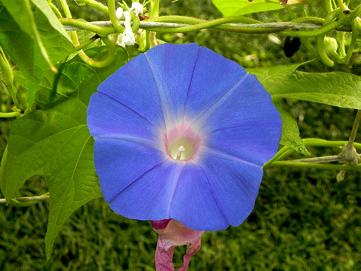 DSCN3018