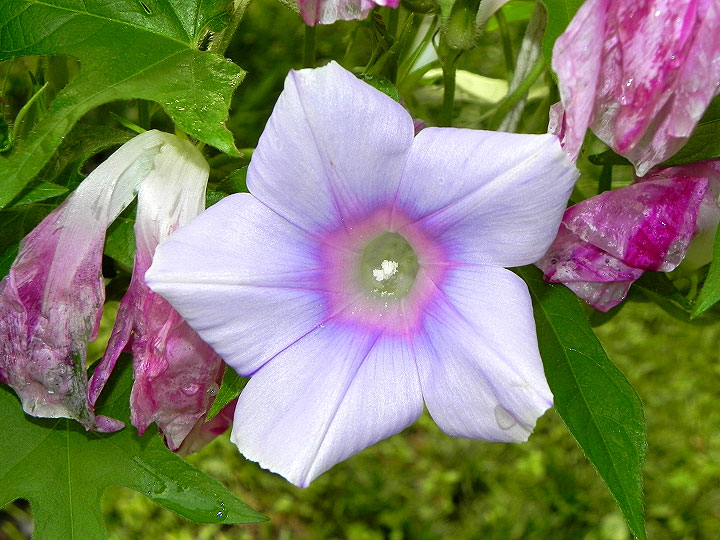 DSCN3038