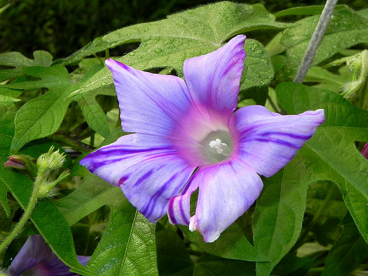 DSCN3039