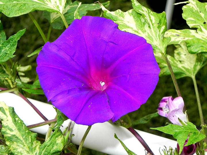 DSCN3048