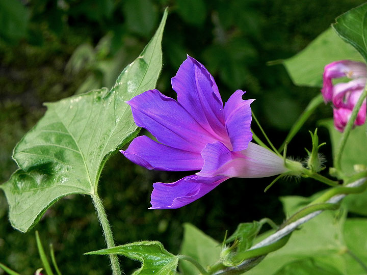 DSCN3049