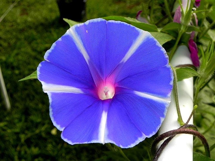 DSCN3056