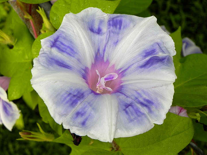 DSCN3091