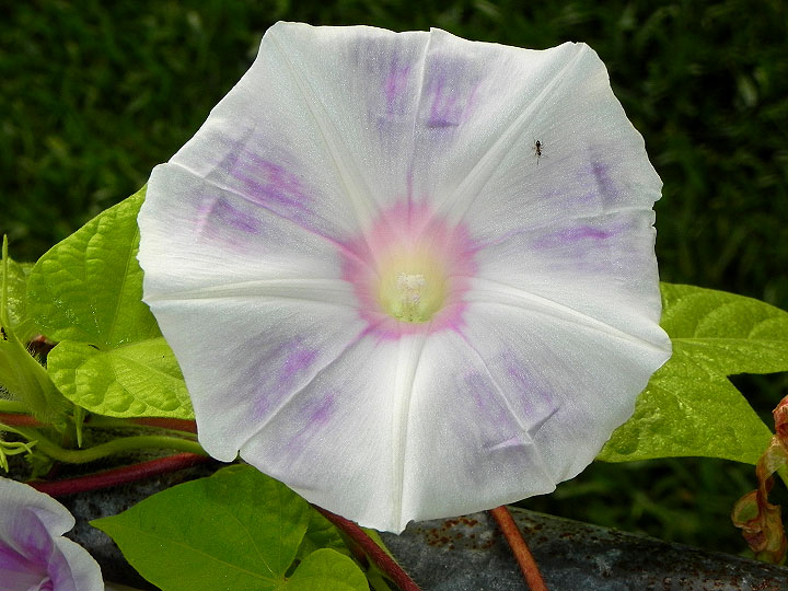 DSCN3097