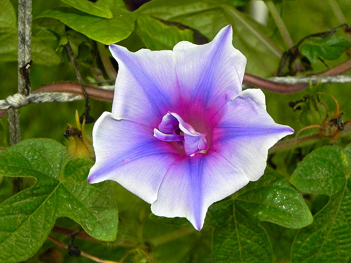 DSCN3107