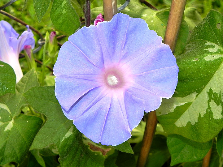 DSCN3129