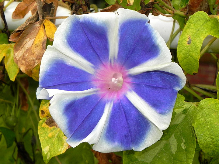 DSCN3133