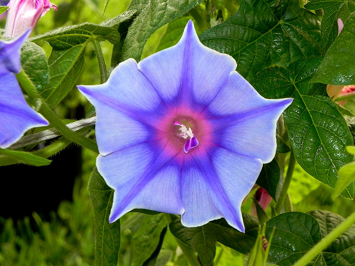 DSCN3152