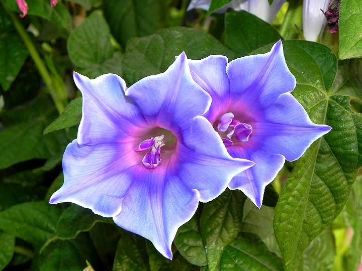 DSCN3155