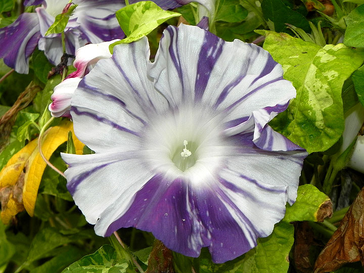 DSCN3163