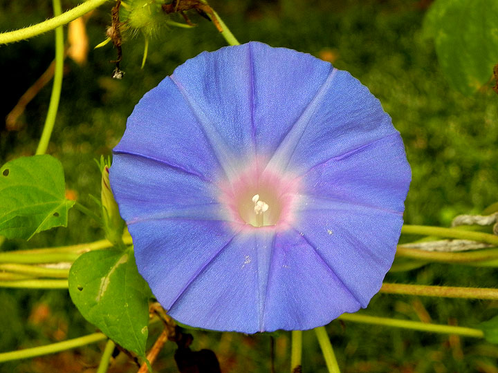 DSCN3169