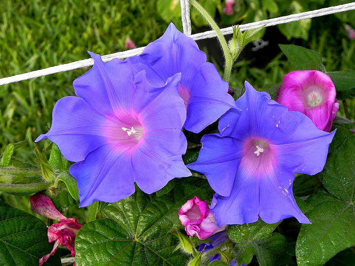 DSCN3172