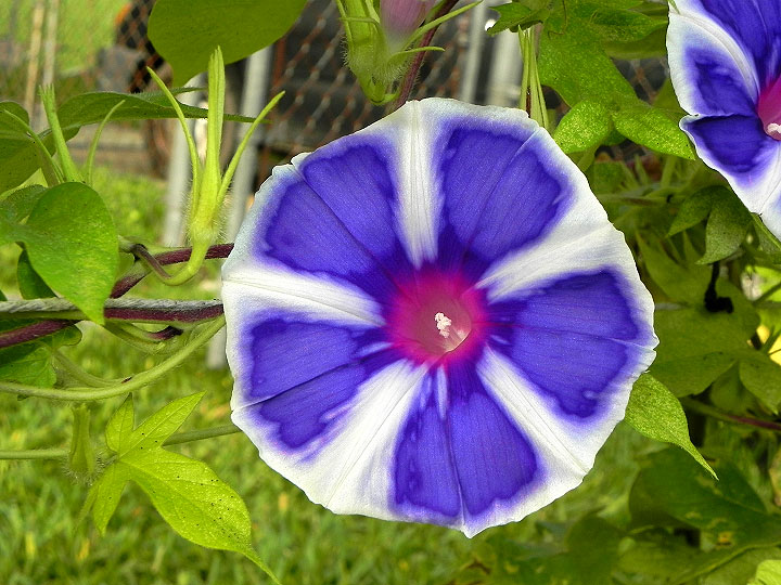DSCN3202