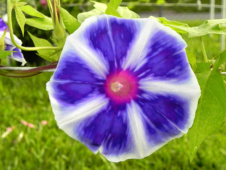 DSCN3206