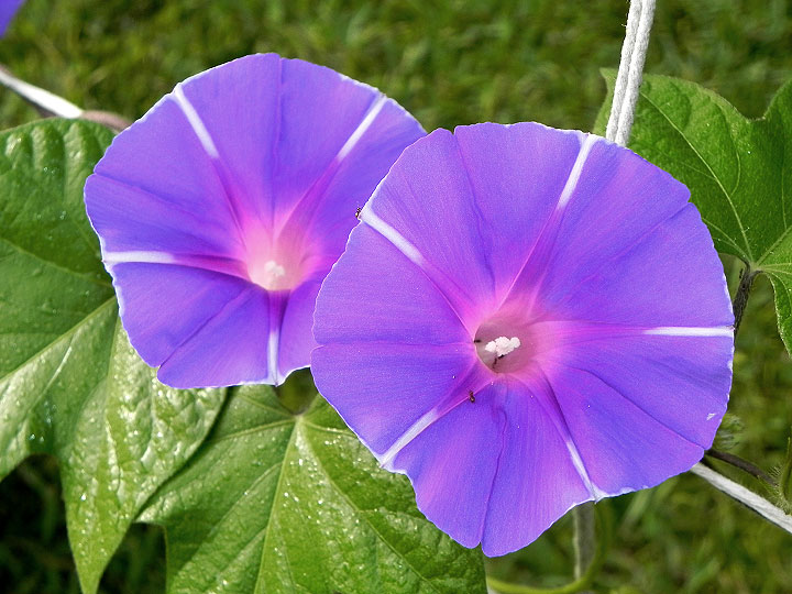 DSCN3215