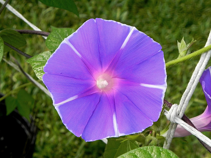 DSCN3218