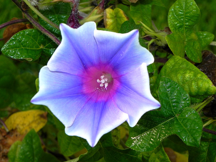 DSCN3249