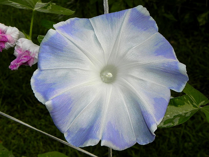 DSCN3258