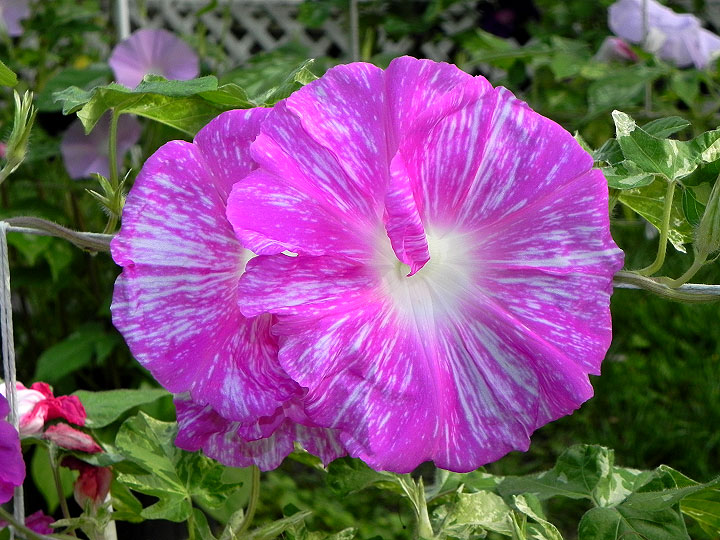 DSCN3280_01