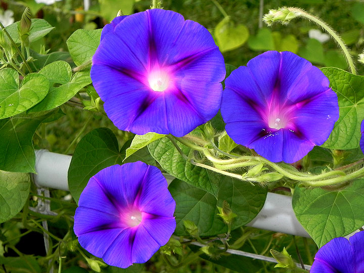 DSCN3282_01