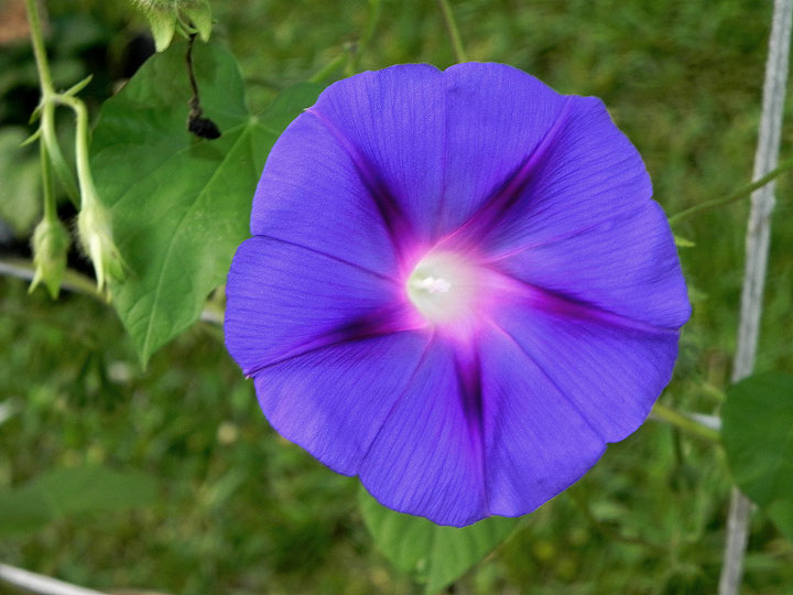 DSCN3284_01