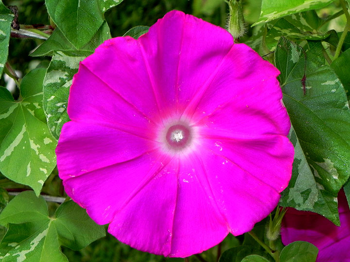 DSCN3313