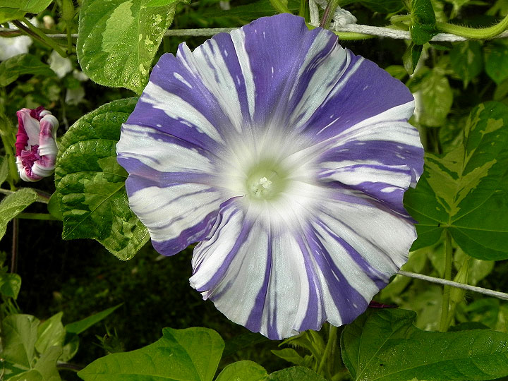 DSCN3325