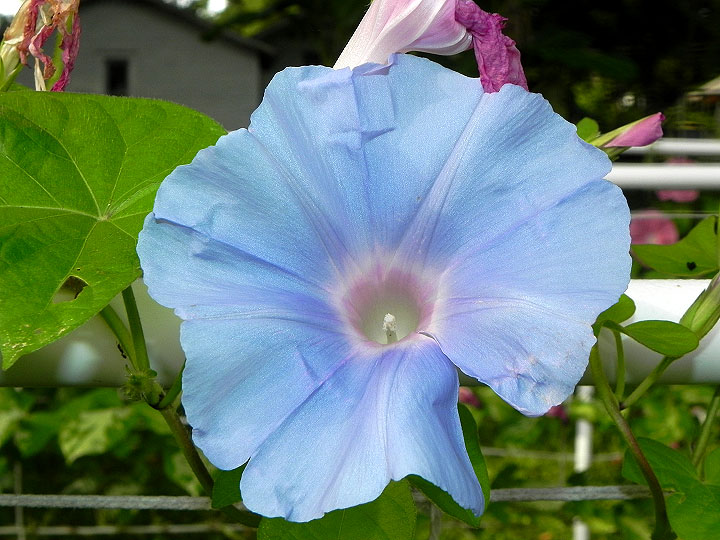 DSCN3336
