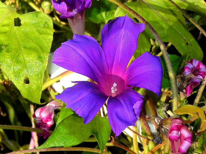 DSCN3343