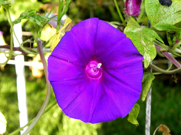 DSCN3346