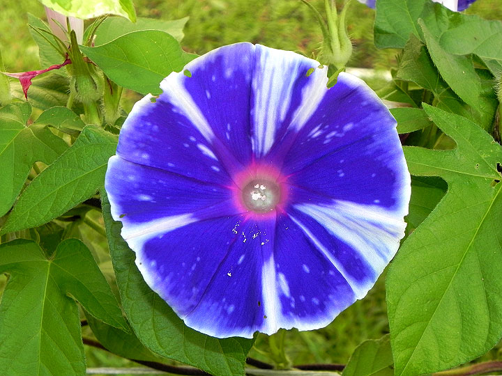 DSCN3347