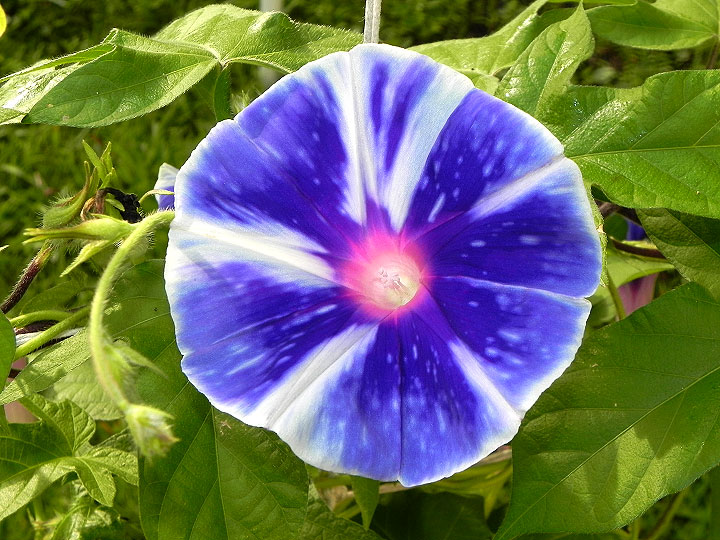 DSCN3352