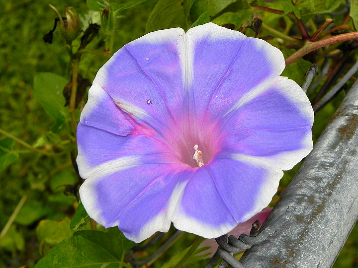DSCN3393