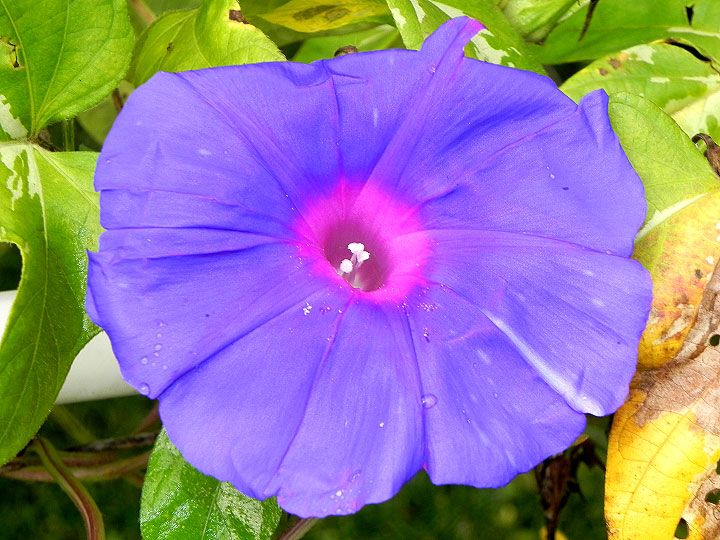 DSCN3441