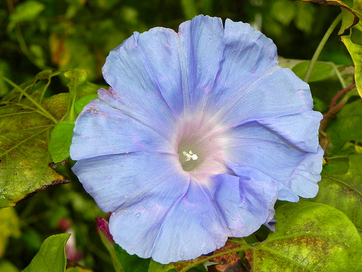 DSCN3443