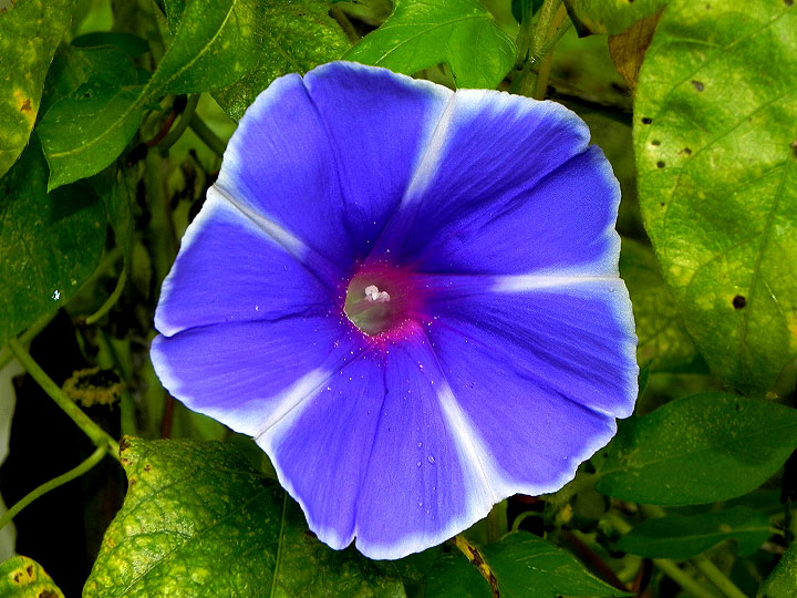 DSCN3453