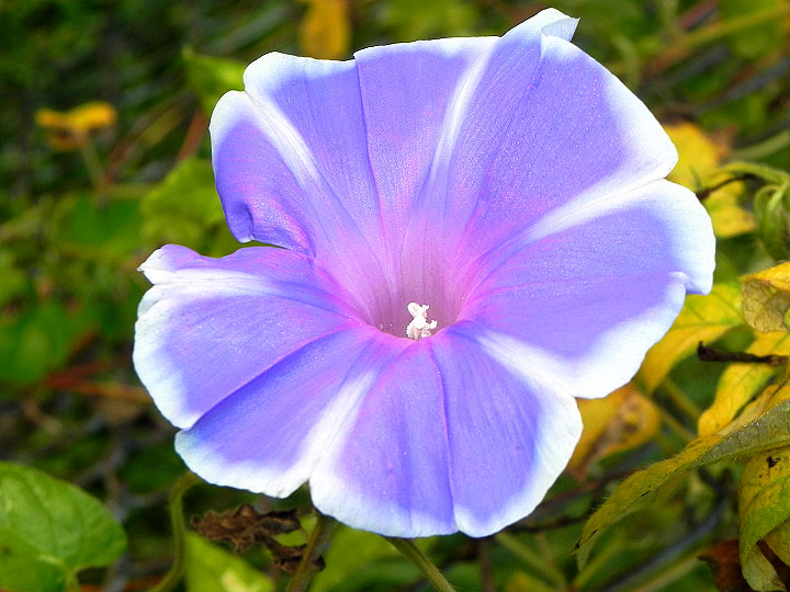 DSCN3486