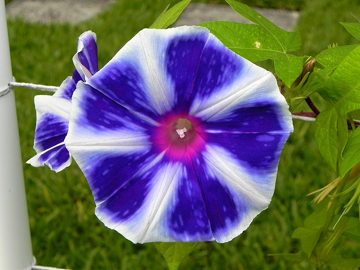 DSCN3492