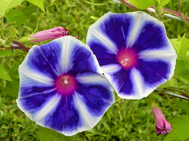 DSCN3497