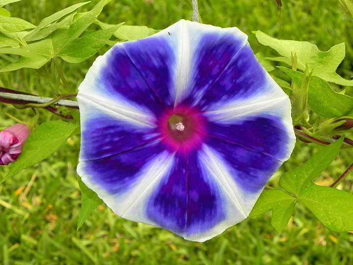 DSCN3498