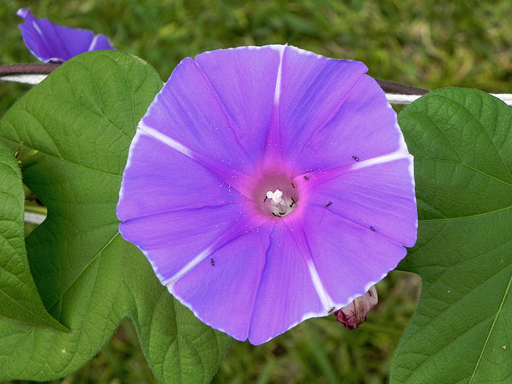 DSCN3504