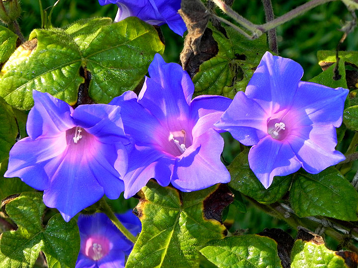 DSCN3509