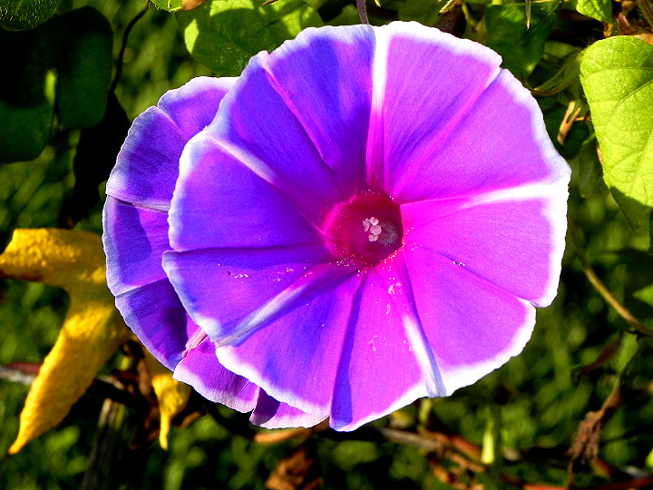 DSCN3537