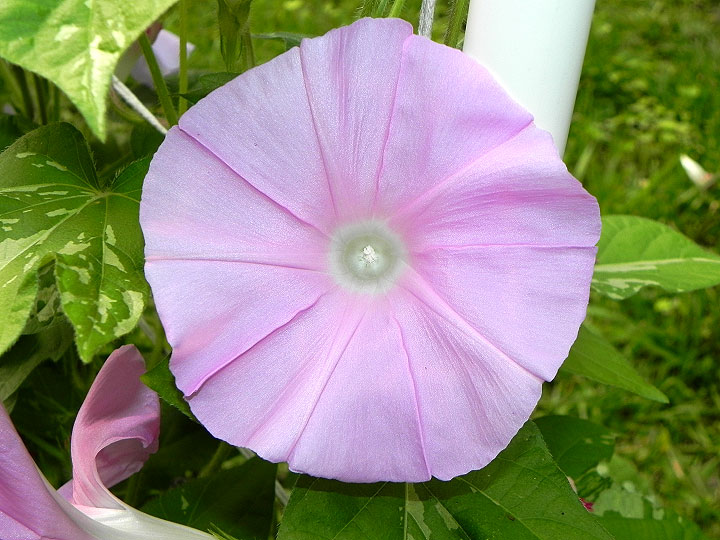 DSCN3547