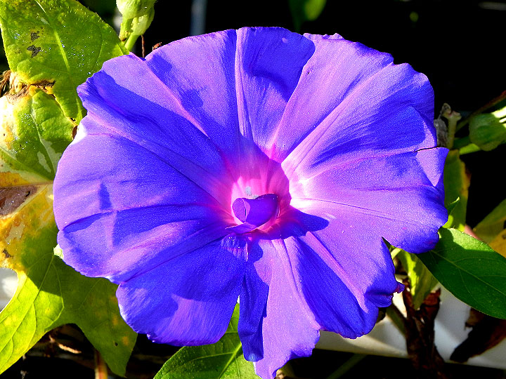 DSCN3579